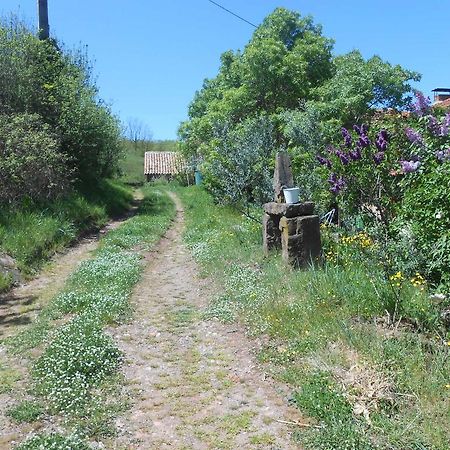 Gite Des Monts Saint-Izaire Bagian luar foto